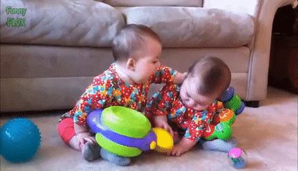 Twins fighting (Gfycat)