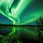 The Northern and Southern Lights are asymmetric dancers in the dark
