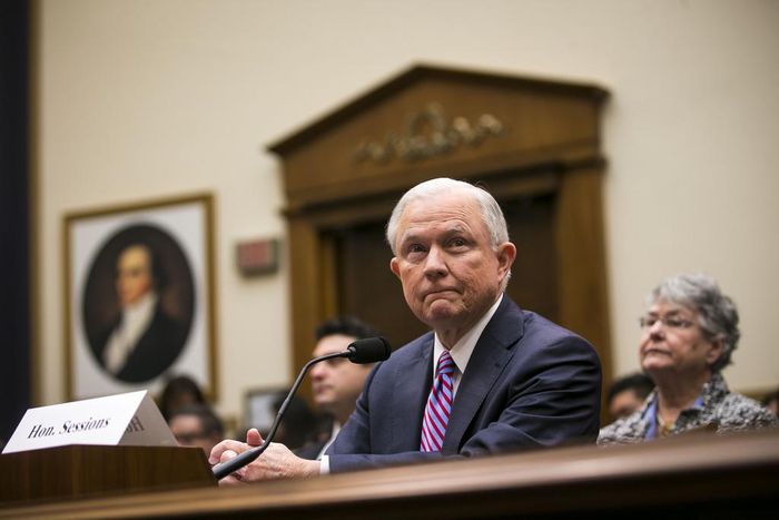 Sessions, Praising President, Announces Run for Senate