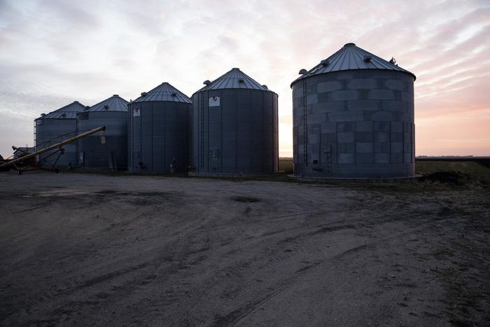 For a Rural Democrat, Talking Potatoes Is Easy. Impeachment Is Really Hard.