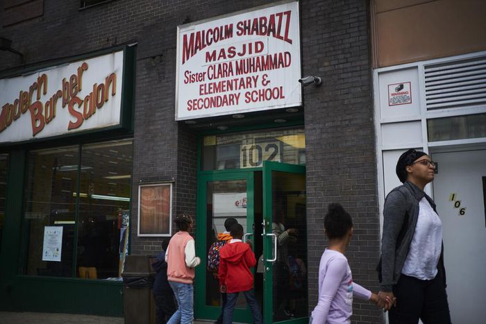 Opposition to Measles Vaccine Seen in Many Pockets of New York