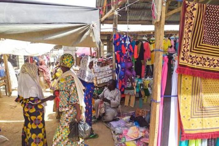 International Organization for Migration (IOM)