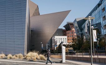 Man Smashes Rare Mayan and Chinese Works at Denver Art Museum, Police Say