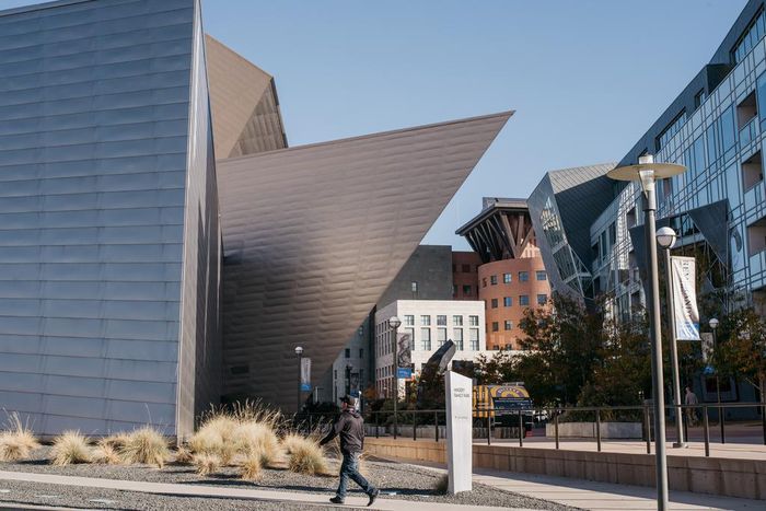 Man Smashes Rare Mayan and Chinese Works at Denver Art Museum, Police Say