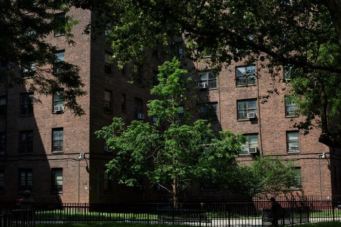 'Lighting Money on Fire' as Mold and Rats Persist in New York Public Housing