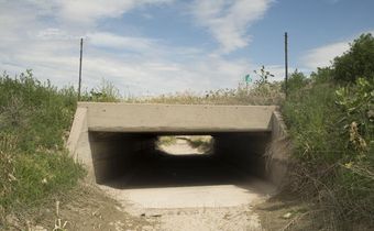 America's Farmers, Reeling from Floods, Face a New Problem: No Water
