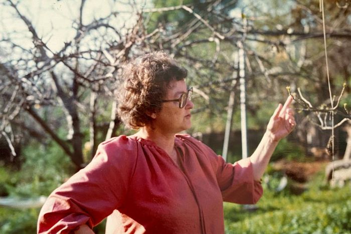 Barbara Testa Dies at 91; Her Discovery Rocked the Literary World