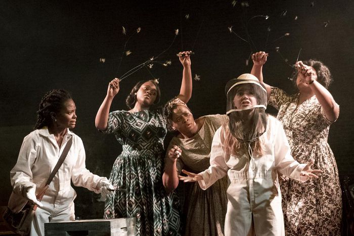 Review: 'The Secret Life of Bees' Is a Musical Lacking a Sting