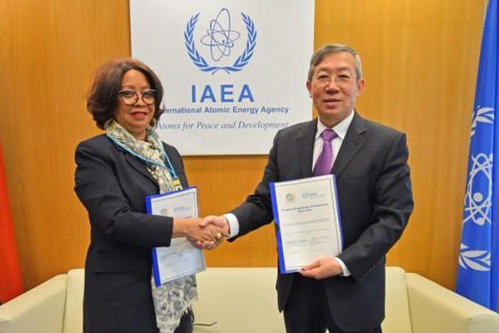 International Atomic Energy Agency (IAEA)