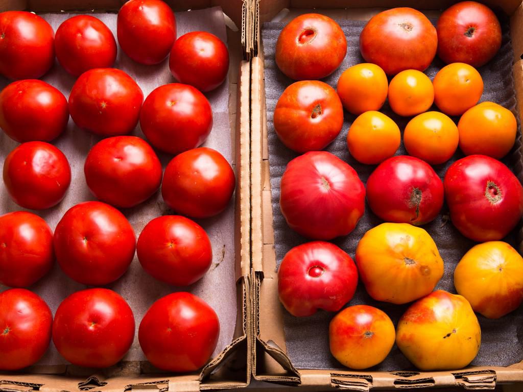Storing tomatoes(Serious Eats)