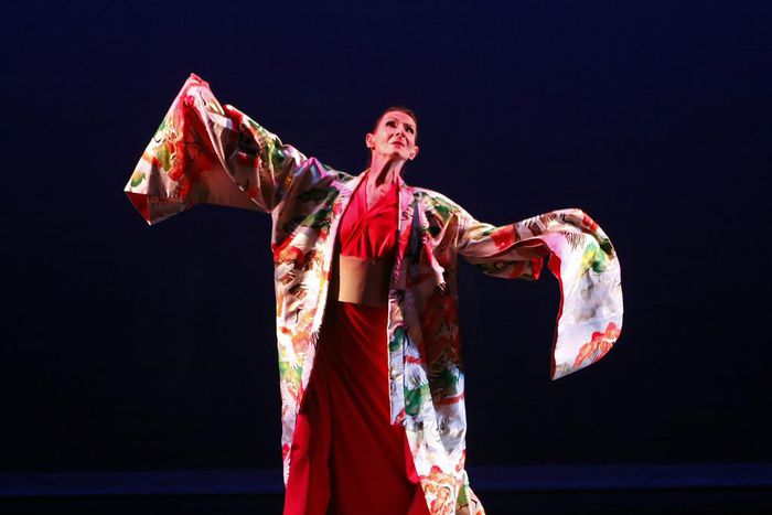 Deborah Zall, 84, Dies; Depicted Extraordinary Women in Dance