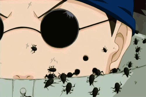 Insects gif (fanaru)