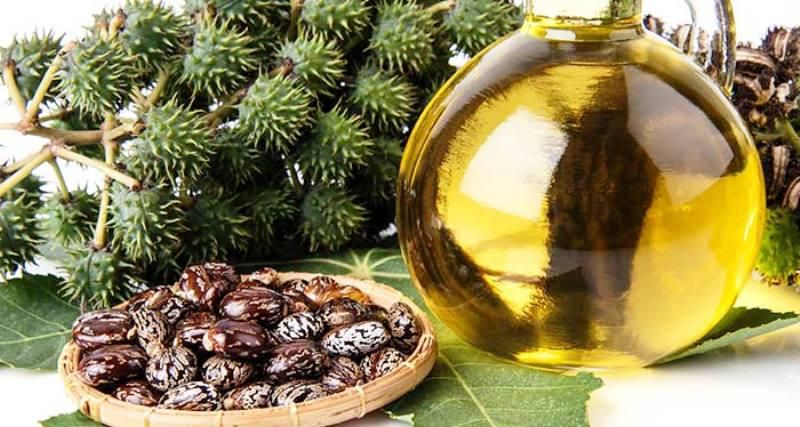Castor oil has many health and beauty benefits aside its culinary uses.