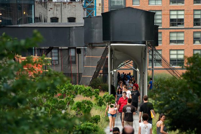 The shed kicks off with a 'Family Tree'