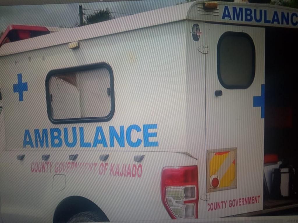 Mother dead after jumping off speeding ambulance