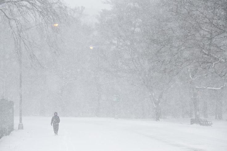Brace for the Polar Vortex: It May Be Visiting More Often