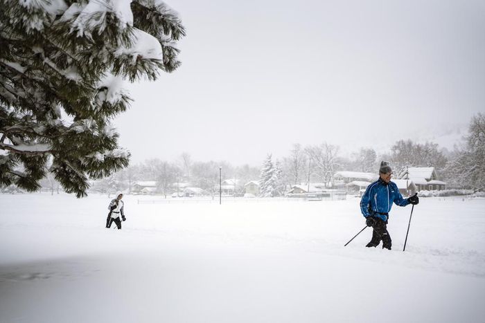 Thanksgiving Weather: Minnesota Is Hit Hard