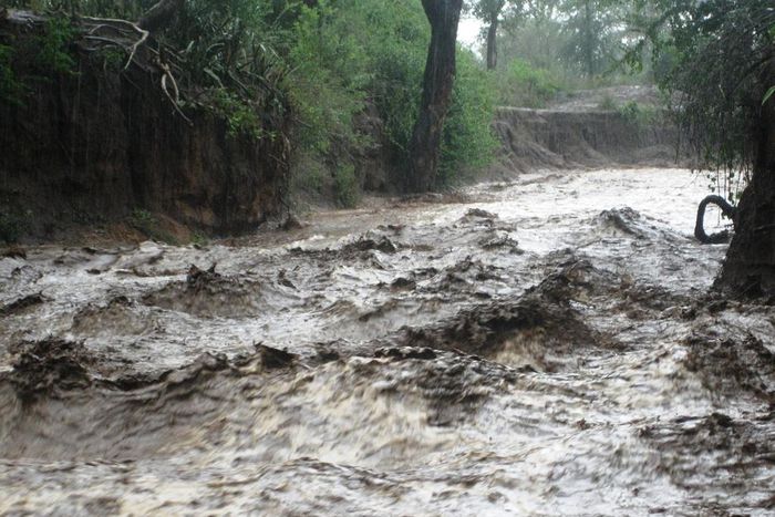 4 children drown after heavy rainfall