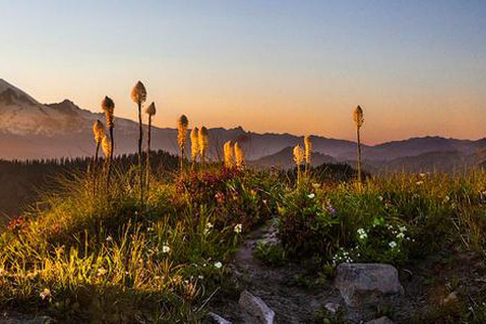 'Protecting' a wilderness, trammeling it, too