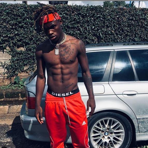 tileh danceking pacbro