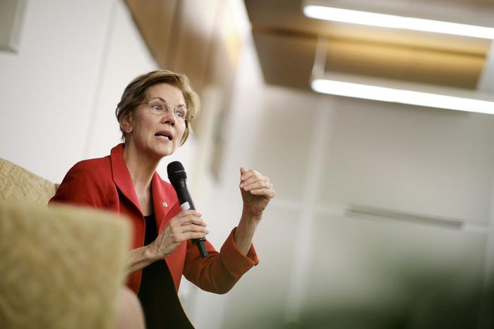 Elizabeth Warren Announces She Is Running for President