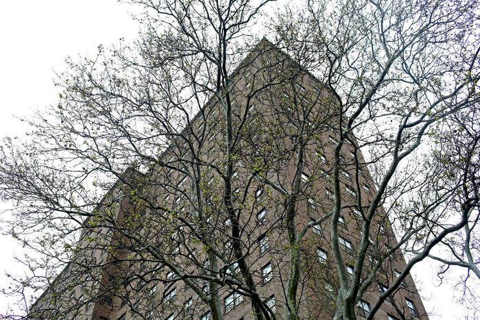 Bloody Ax Recovered at Homicide Scene in Brooklyn, Police Say