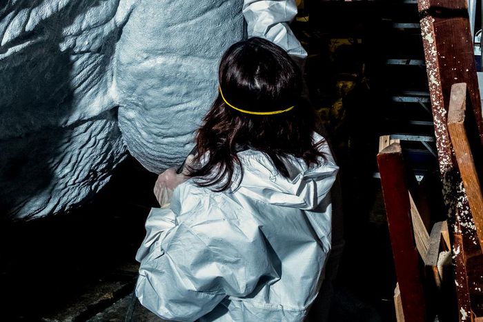 Building a Blockbuster: Behind the Scenes With T. Rex