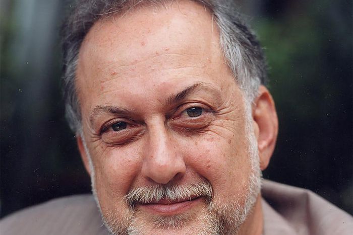 Michael Sorkin, 71, Dies; Saw Architecture as a Vehicle for Change