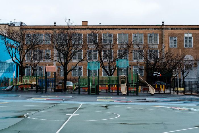 Relief Offered From Testing and Student Loans as Virus Roils Education