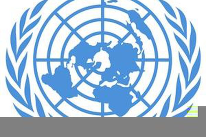 United Nations Support Mission in Libya (UNSMIL)