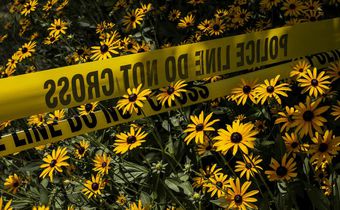 How a Nanny's Adventure in the U.S. Ended in Bloodshed