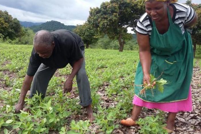 U.S. Embassy in Zimbabwe