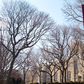 Fordham student dies after fall from campus bell tower