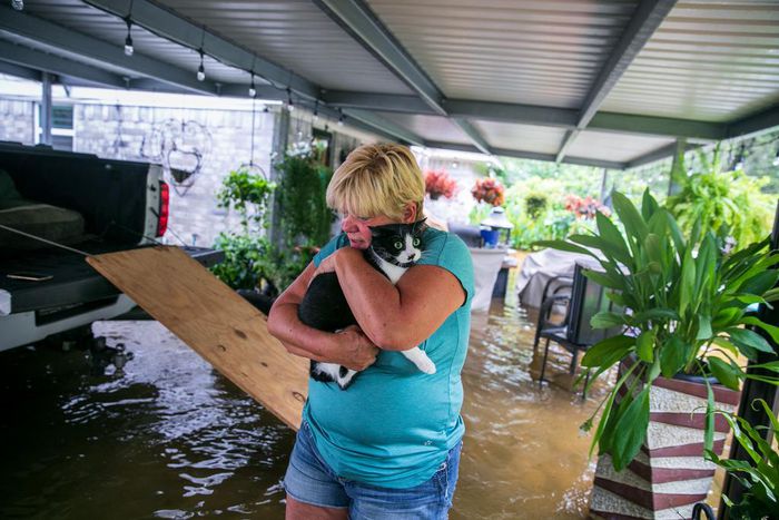Devastation and Shock as Waters Drain Away