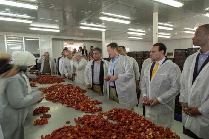 U.S. Embassy - Cairo