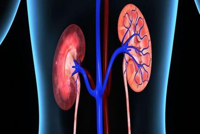 20m Nigerians have kidney diseases – Nephrologists. [tribuneonlineng]