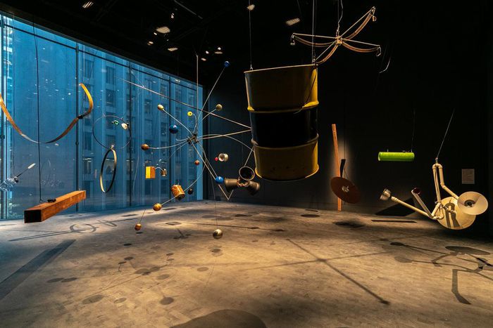 This Rainforest Trills, Burbles and Booms