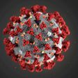 FILE PHOTO: The ultrastructural morphology exhibited by the 2019 Novel Coronavirus (2019-nCoV), which was identified as the cause of an outbreak of respiratory illness first detected in Wuhan, China, is seen in an illustration released by the Centers f...