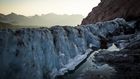 'When the Glaciers Disappear, Those Species Will Go Extinct'