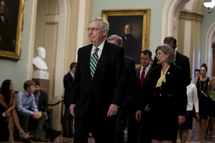 Mitch McConnell and Rand Paul Are Recovering From Medical Treatment