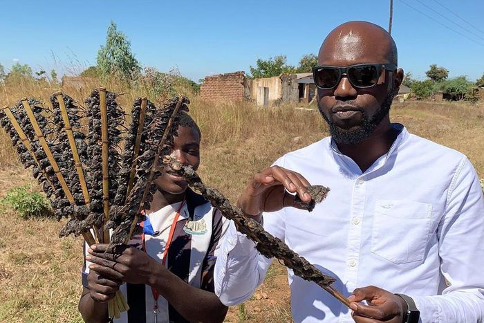 Larry eating Mice in Malawi (Instagram)
