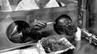 Neil Armstrong first man on the moon, and its first great geologist