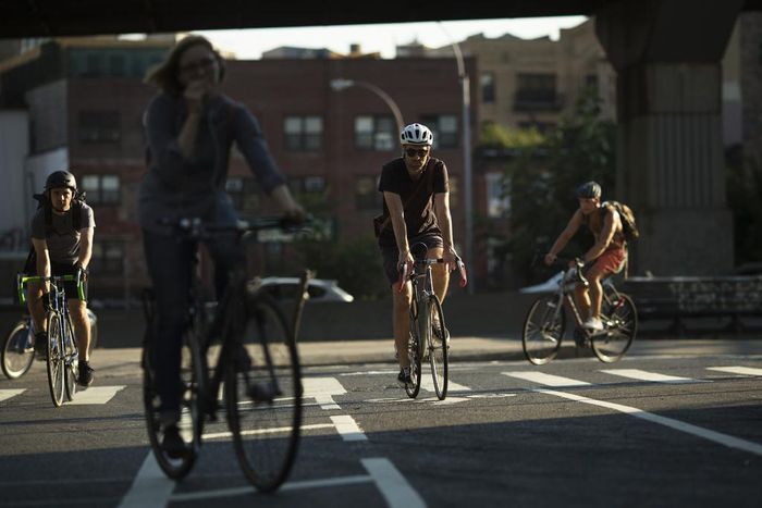Experts Back Mandatory Bike Helmets but Not All Cyclists Are Sold