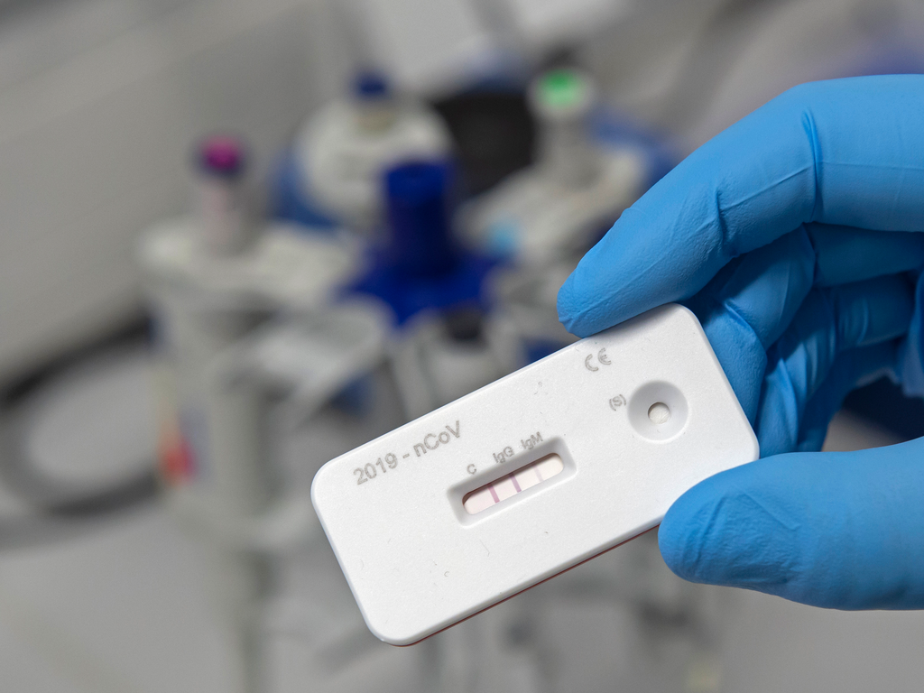 A scientist presents an antibody test for coronavirus in a laboratory of the Leibniz Institute of Photonic Technology (Leibniz IPHT) at the InfectoGnostics research campus in Jena, Germany, Friday, April 3, 2020. An international team of researchers wi...