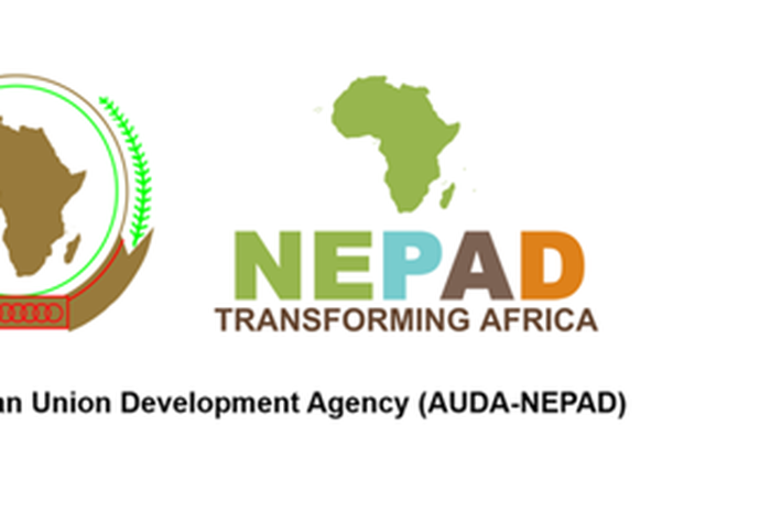 New Partnership for Africa’s Development (NEPAD)