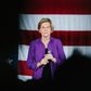 Elizabeth warren actually wants to fix capitalism