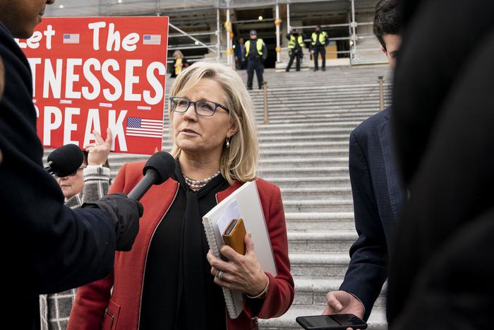 Liz Cheney Says She Won't Run for Senate in Wyoming