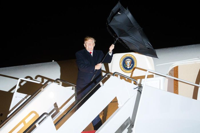 We Checked President Trump's Dubious Claims on the Perils of Wind Power