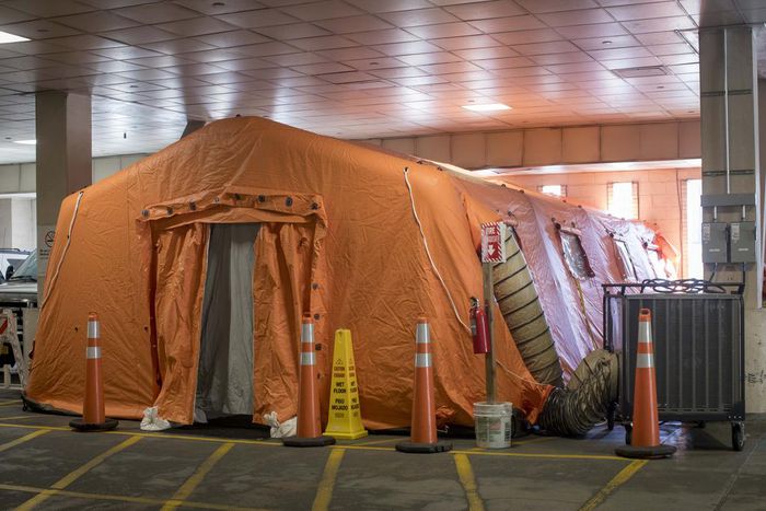 Coronavirus in New York: 'Deluge' of Cases Begins Hitting Hospitals