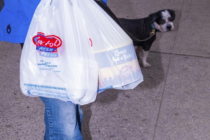New Yorkers Who Reuse Plastic Bags Bemoan Ban